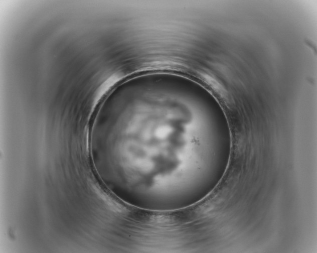 X0000096221275200801251048