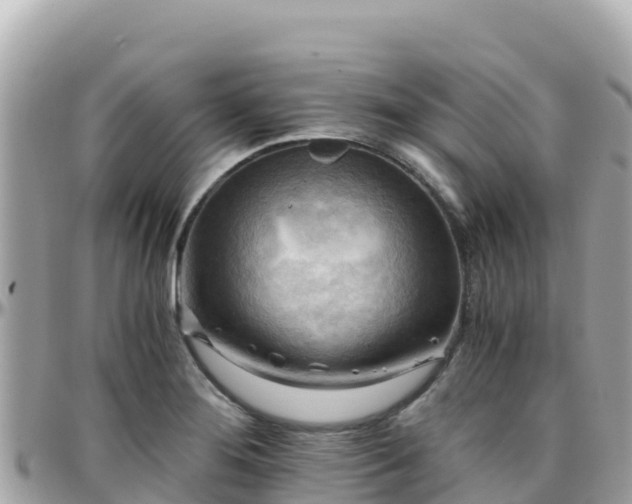 X0000096221276200801251048