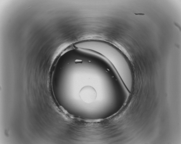 X0000096221277200801251048