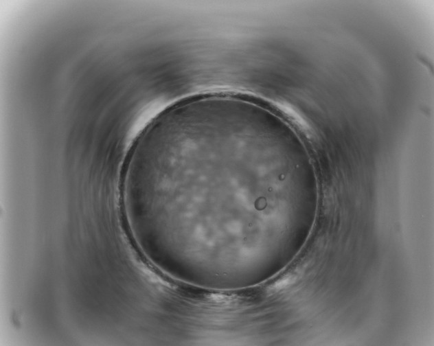 X0000096221279200801251048