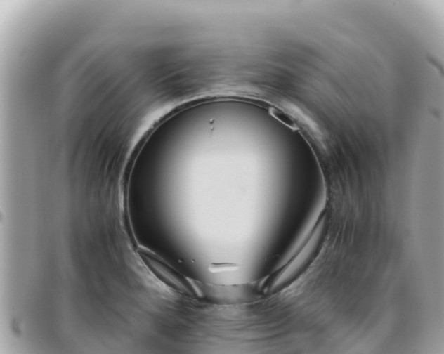 X0000096221280200801251048