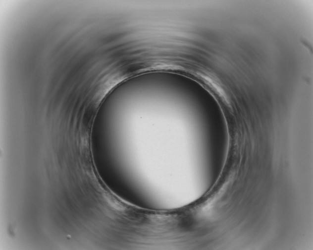 X0000096221281200801251048