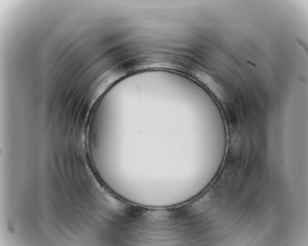 X0000096221282200801251048