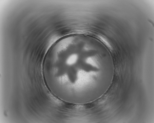 X0000096221283200801251048