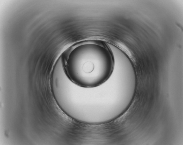 X0000096221284200801251048