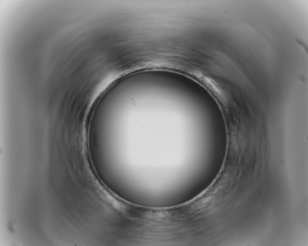 X0000096221286200801251048