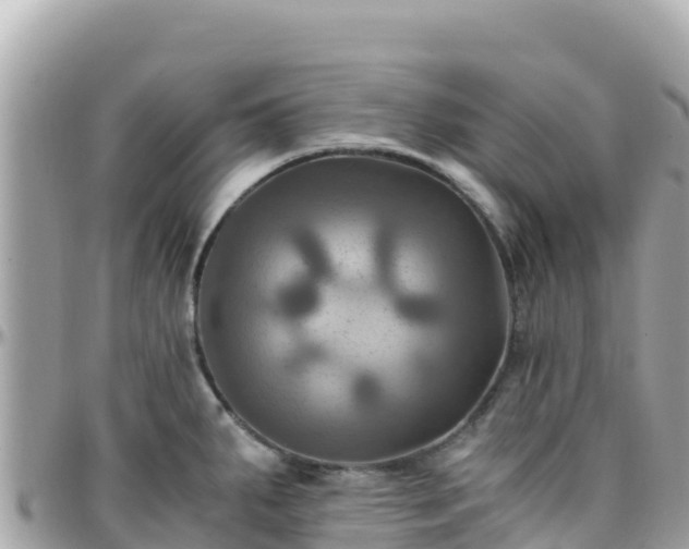 X0000096221287200801251048