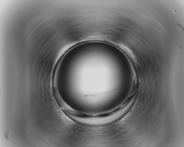 X0000096221288200801251048