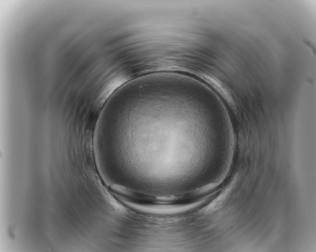 X0000096221289200801251048