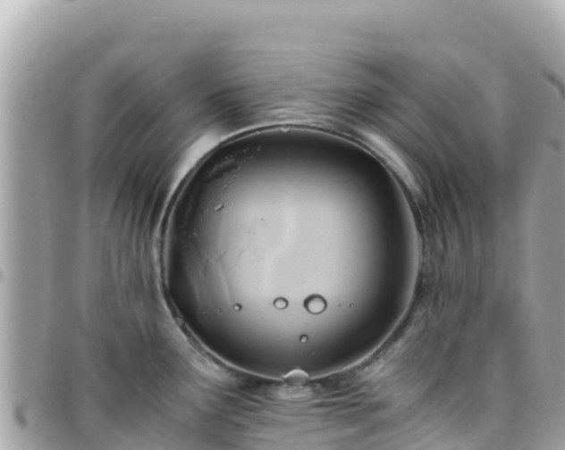 X0000096221291200801251048