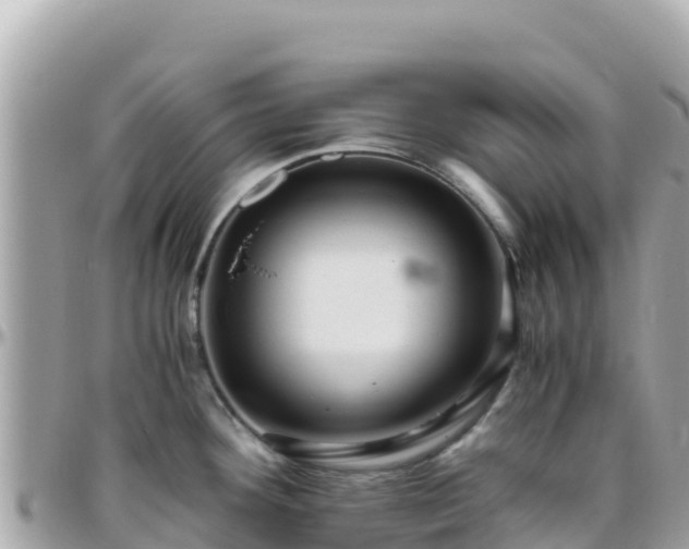 X0000096221292200801251048