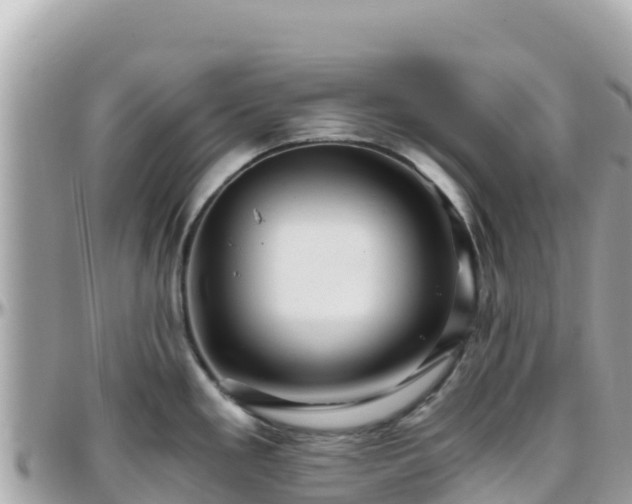 X0000096221293200801251048