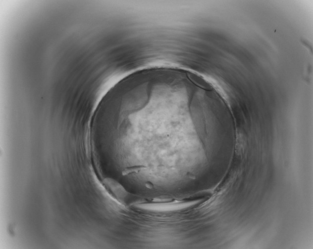 X0000096221295200801251048