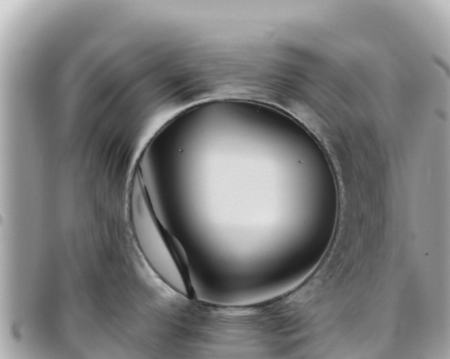 X0000096221296200801251048