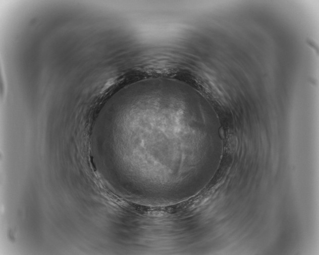 X0000096221297200801251048