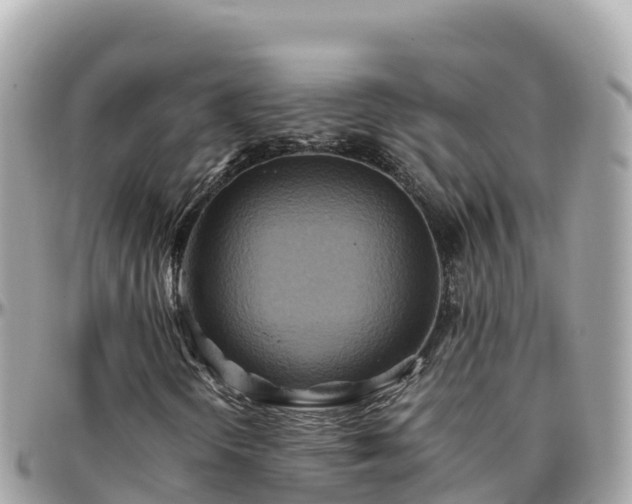 X0000096221298200801251048