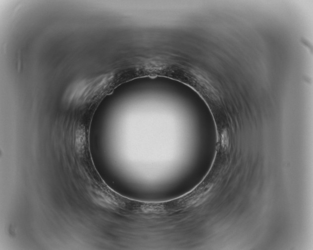 X0000096221299200801251048