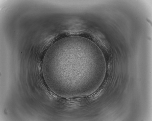 X0000096221300200801251048