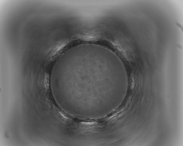 X0000096221301200801251048