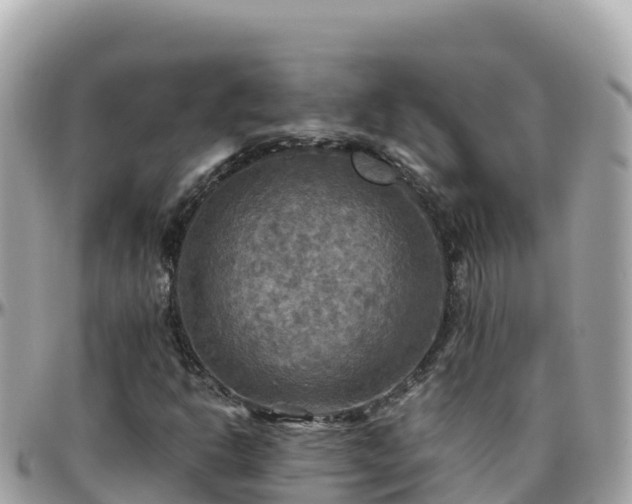 X0000096221302200801251048