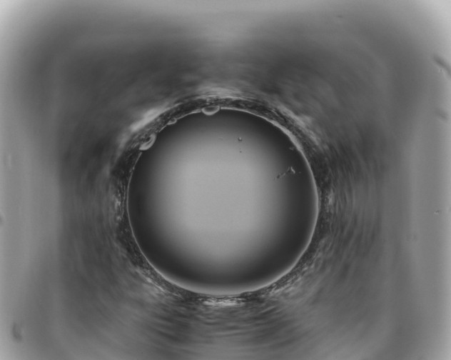 X0000096221303200801251048