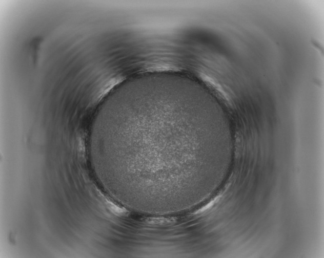 X0000096221305200801251048