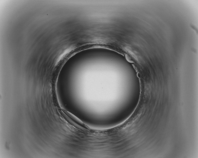 X0000096221307200801251048