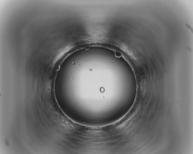 X0000096221309200801251048