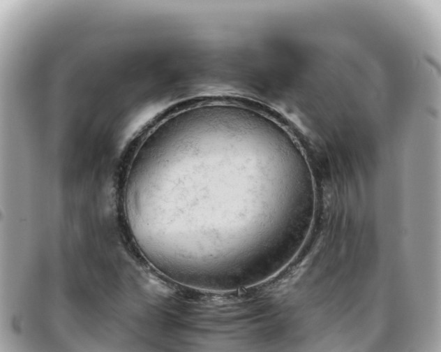 X0000096221311200801251048