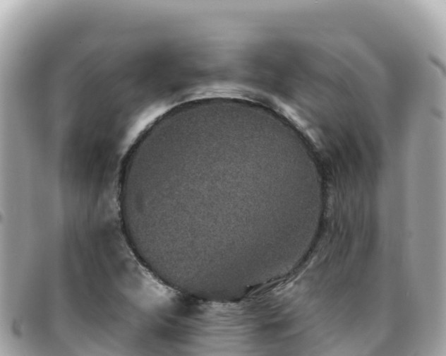 X0000096221312200801251048