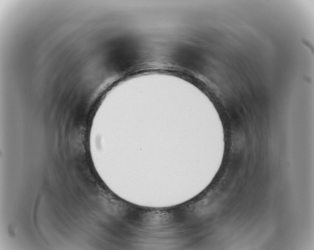 X0000096221314200801251048