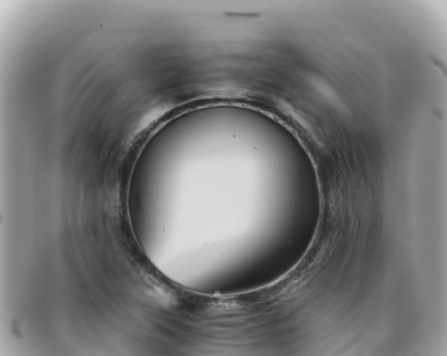 X0000096221315200801251048