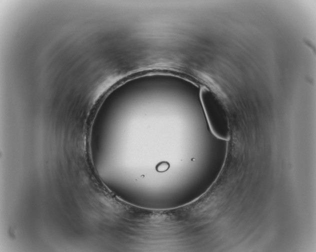 X0000096221316200801251048