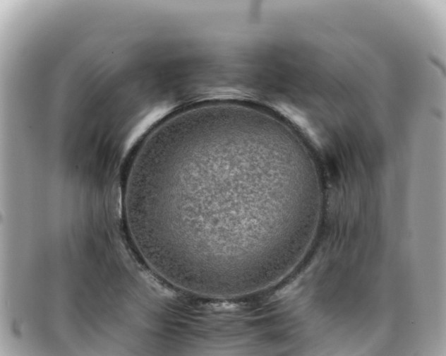 X0000096221317200801251048