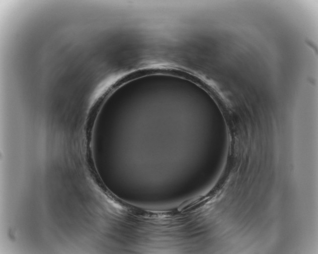 X0000096221319200801251048