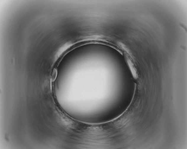 X0000096221320200801251048