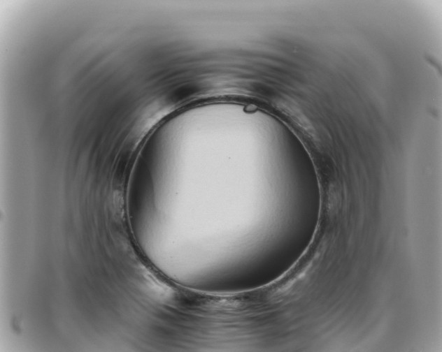 X0000096221321200801251048