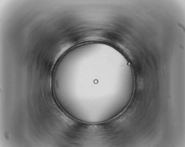 X0000096221322200801251048