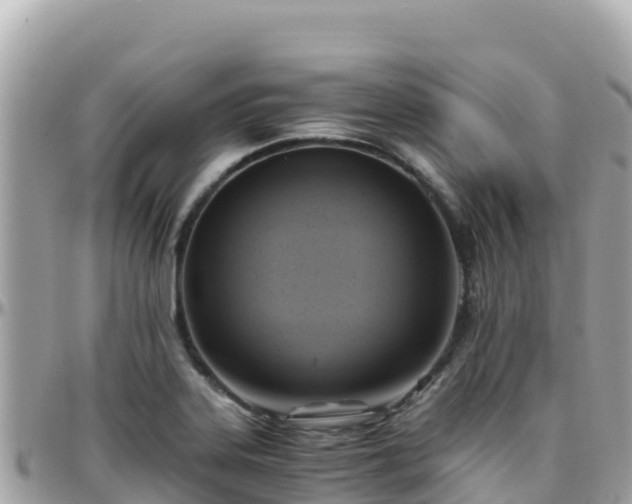 X0000096221323200801251048