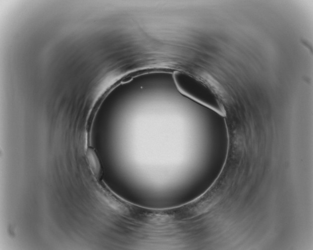 X0000096221324200801251048