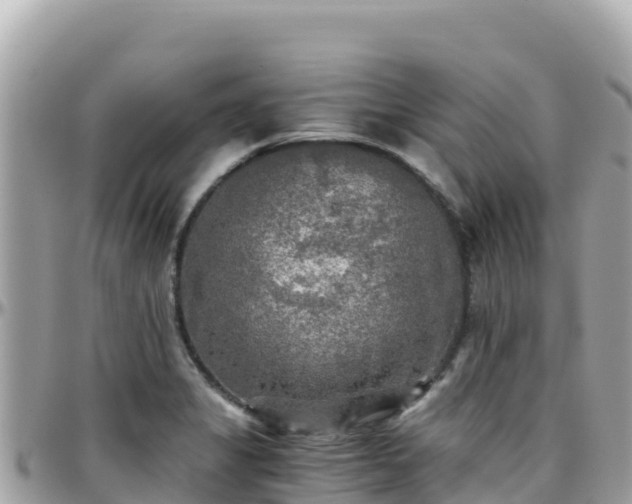 X0000096221325200801251048