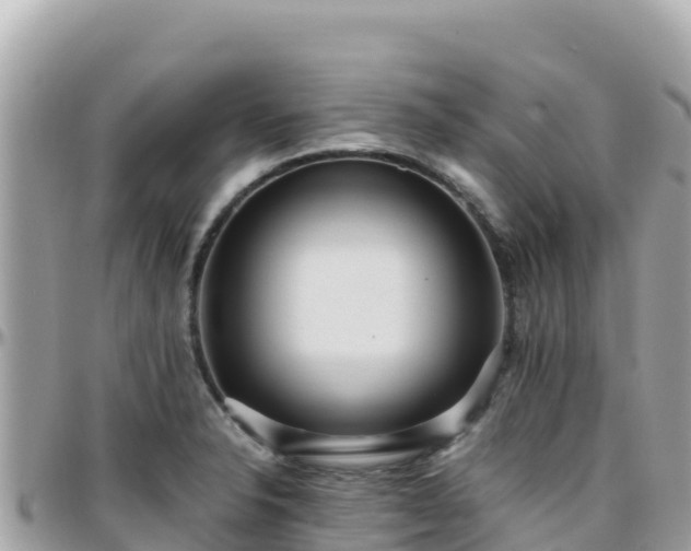 X0000096221326200801251048