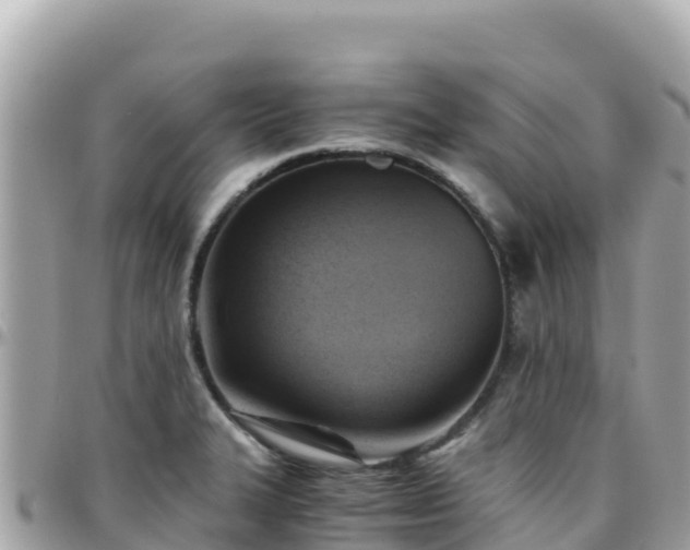 X0000096221327200801251048