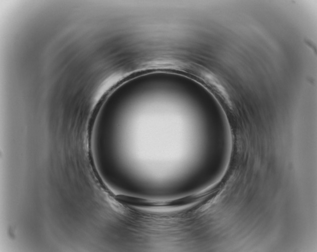 X0000096221328200801251048