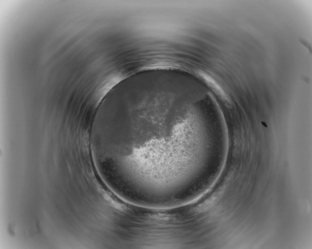 X0000096221329200801251048