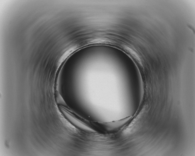 X0000096221330200801251048