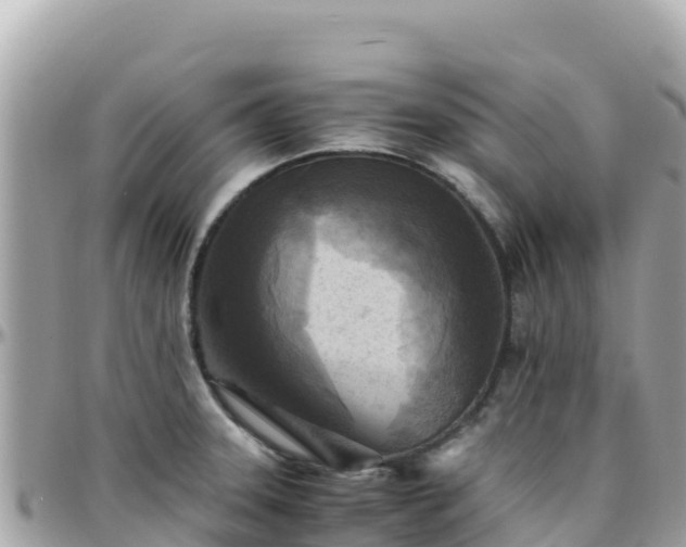 X0000096221331200801251048