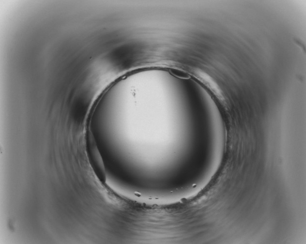 X0000096221332200801251048