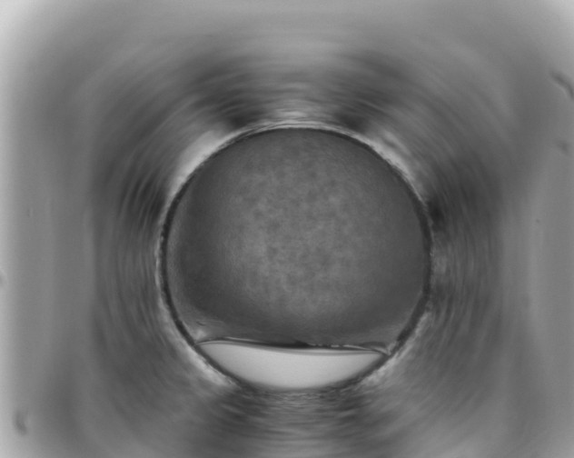 X0000096221333200801251048