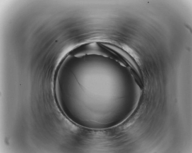 X0000096221334200801251048